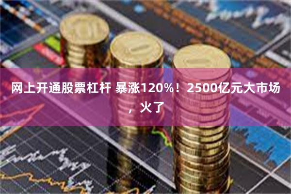 网上开通股票杠杆 暴涨120%！2500亿元大市场，火了