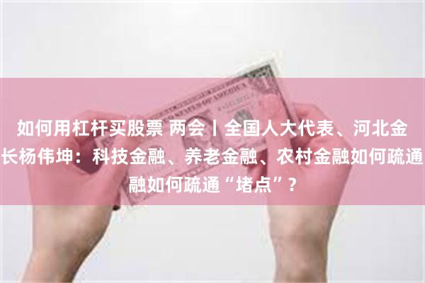 如何用杠杆买股票 两会丨全国人大代表、河北金融学院院长杨伟坤：科技金融、养老金融、农村金融如何疏通“堵点”？