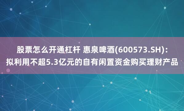 股票怎么开通杠杆 惠泉啤酒(600573.SH)：拟利用不超5.3亿元的自有闲置资金购买理财产品