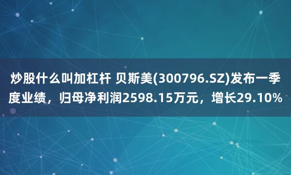 炒股什么叫加杠杆 贝斯美(300796.SZ)发布一季度业绩，归母净利润2598.15万元，增长29.10%