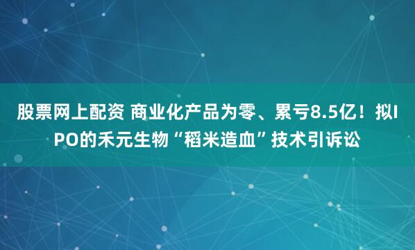 股票网上配资 商业化产品为零、累亏8.5亿！拟IPO的禾元生物“稻米造血”技术引诉讼