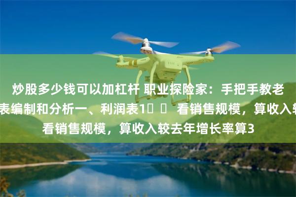 炒股多少钱可以加杠杆 职业探险家:手把手教老板喜欢的财务报表编制和分析一、利润表1️⃣ 看销售规模,算收入较去年增长率算3