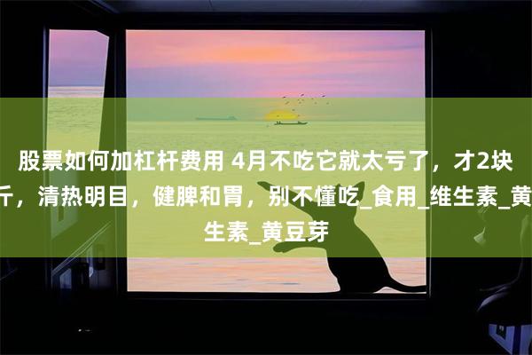 股票如何加杠杆费用 4月不吃它就太亏了，才2块钱1斤，清热明目，健脾和胃，别不懂吃_食用_维生素_黄豆芽