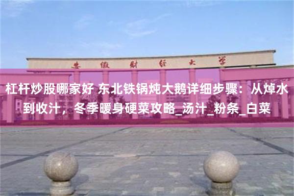 杠杆炒股哪家好 东北铁锅炖大鹅详细步骤：从焯水到收汁，冬季暖身硬菜攻略_汤汁_粉条_白菜